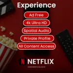 Netflix - Image 2